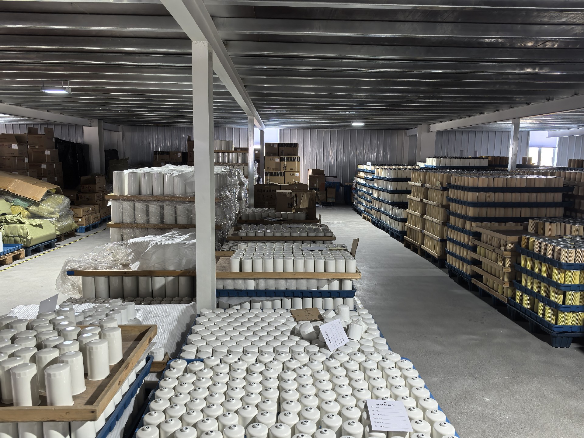 lady with a determined gaze